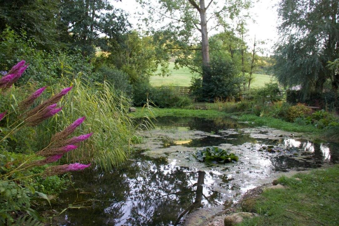 Bagnell Farm Cottage Chiselborough Luaran gambar
